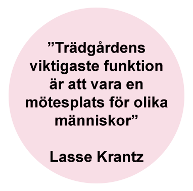 Text i cirkel