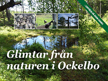 Glimtar från naturen n i Ockelbo