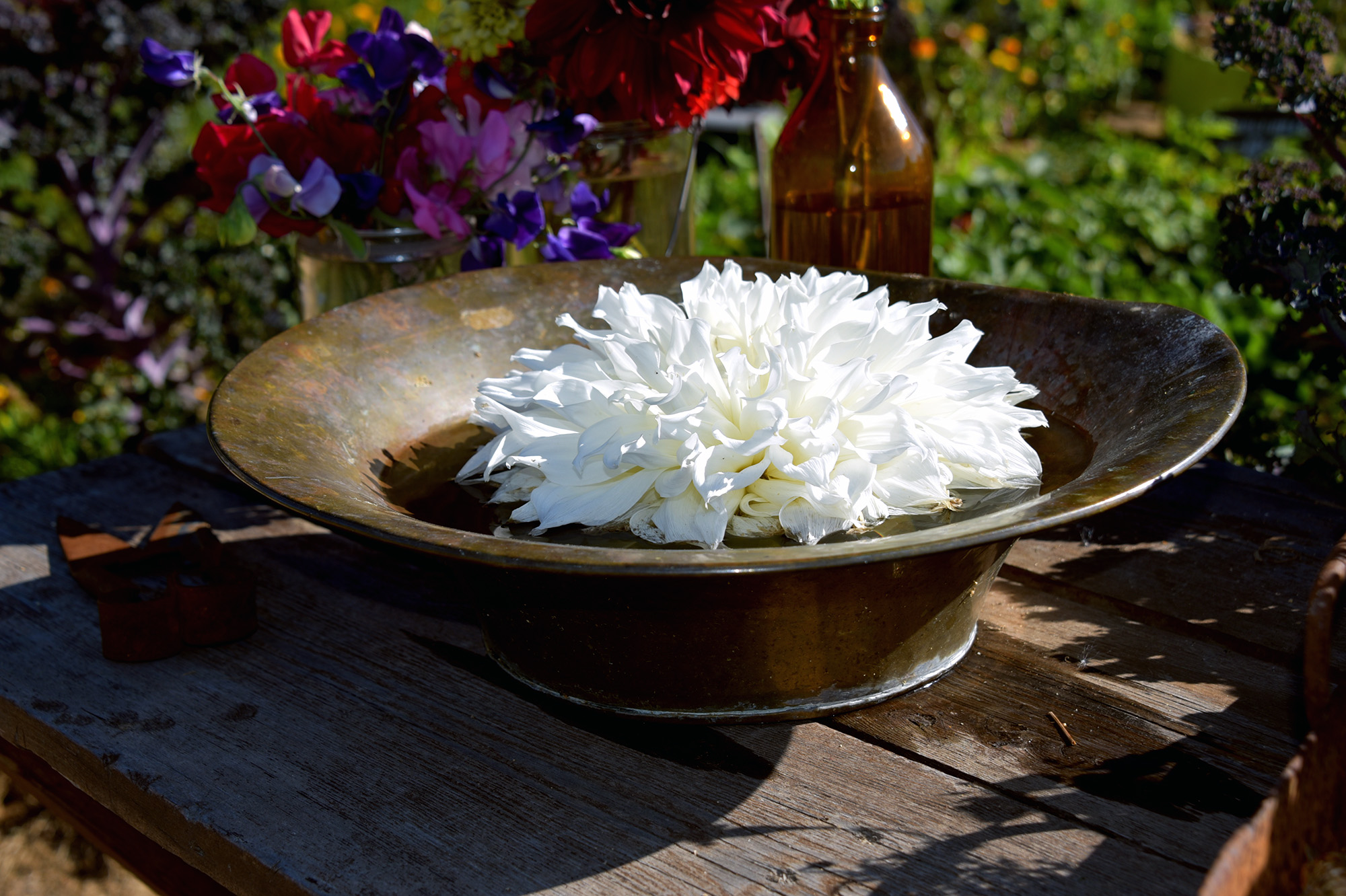 Dekoration blommor