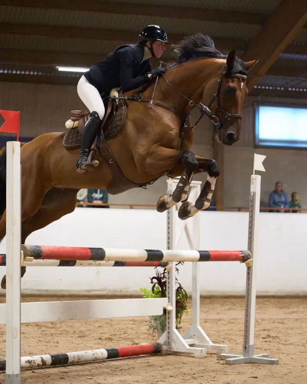 Nordic Horse Show