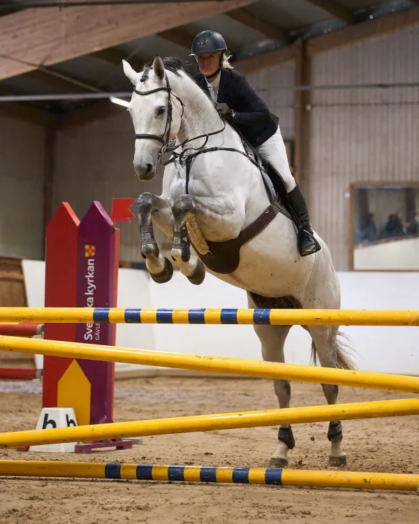 Nordic Horse Show