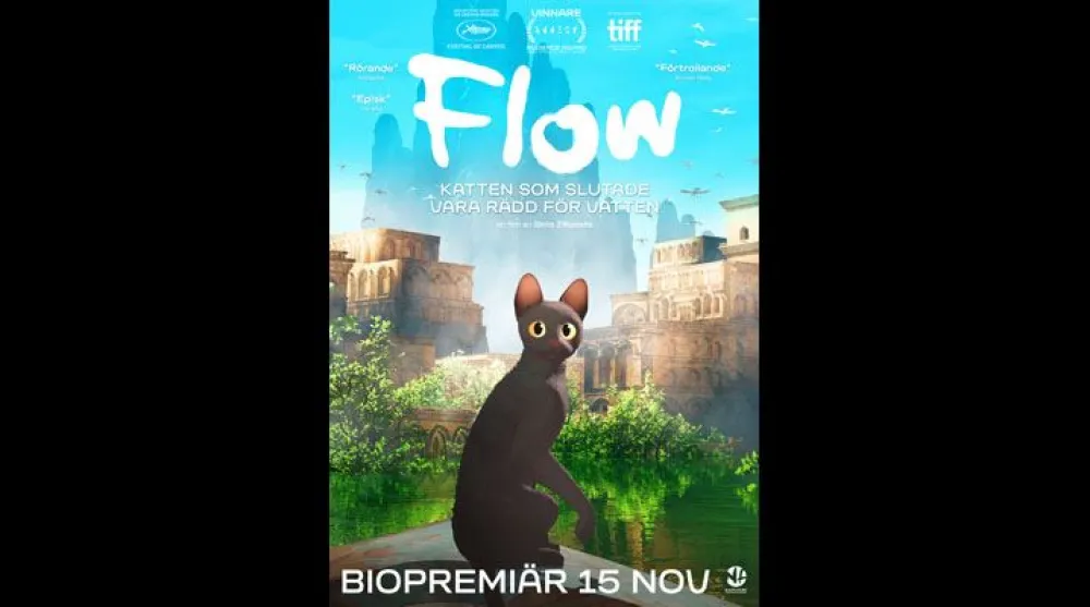 Bio, Matiné