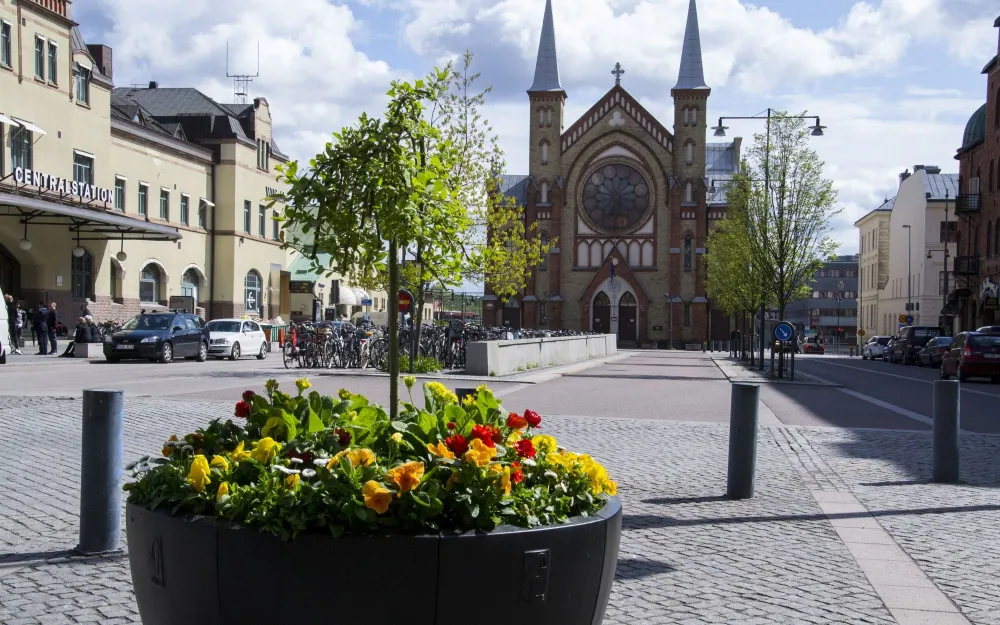 AV – After VÄV, Allsången