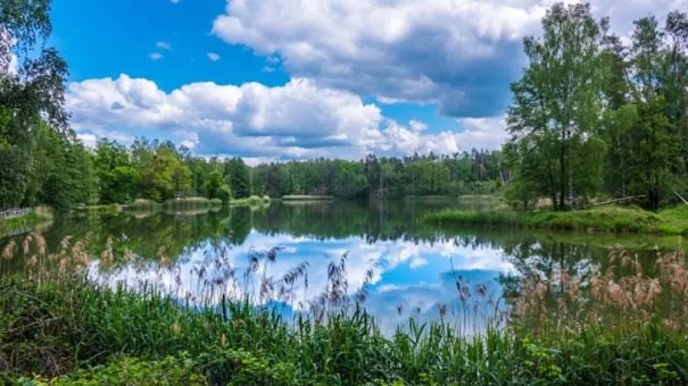 Fiska i Ormsjön