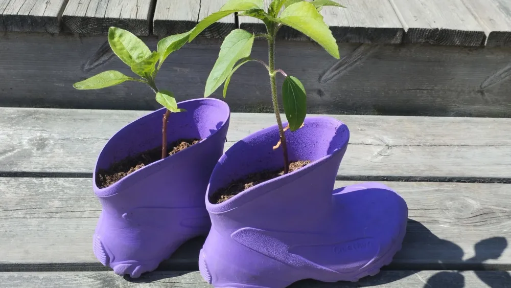 Expect to find plants in the weirdest of places at sensory and play garden Axmar Yara