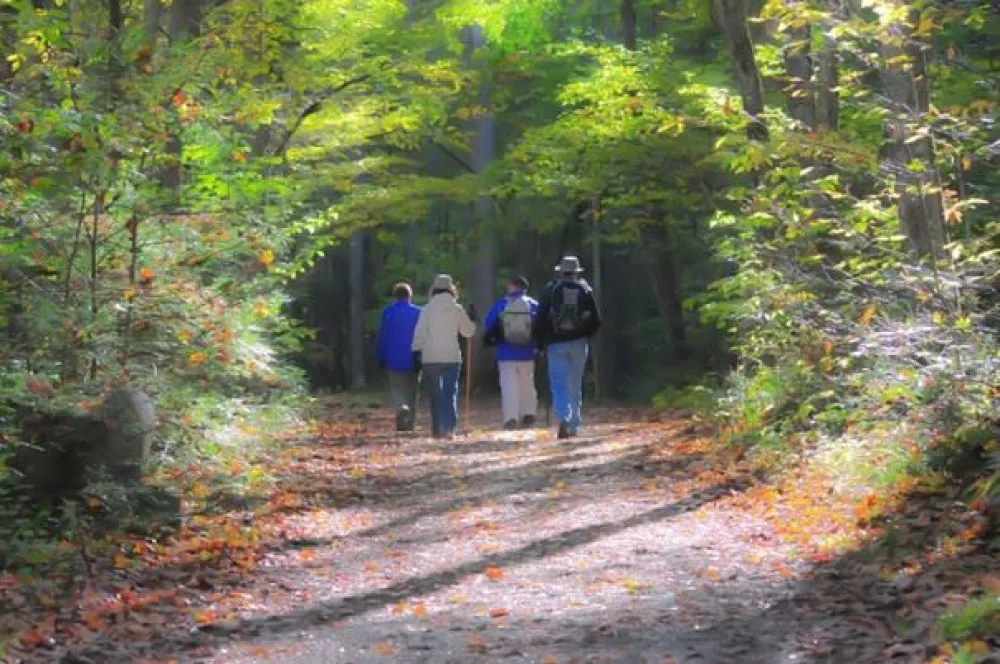 Pilgrimsvandring