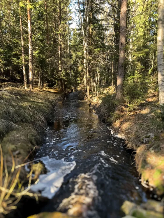 Gästrikeleden - Gästrikland Hiking trail