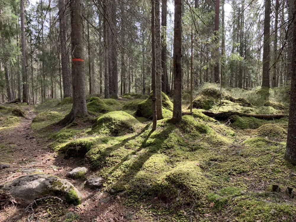 Gästrikeleden - Gästrikland Hiking trail