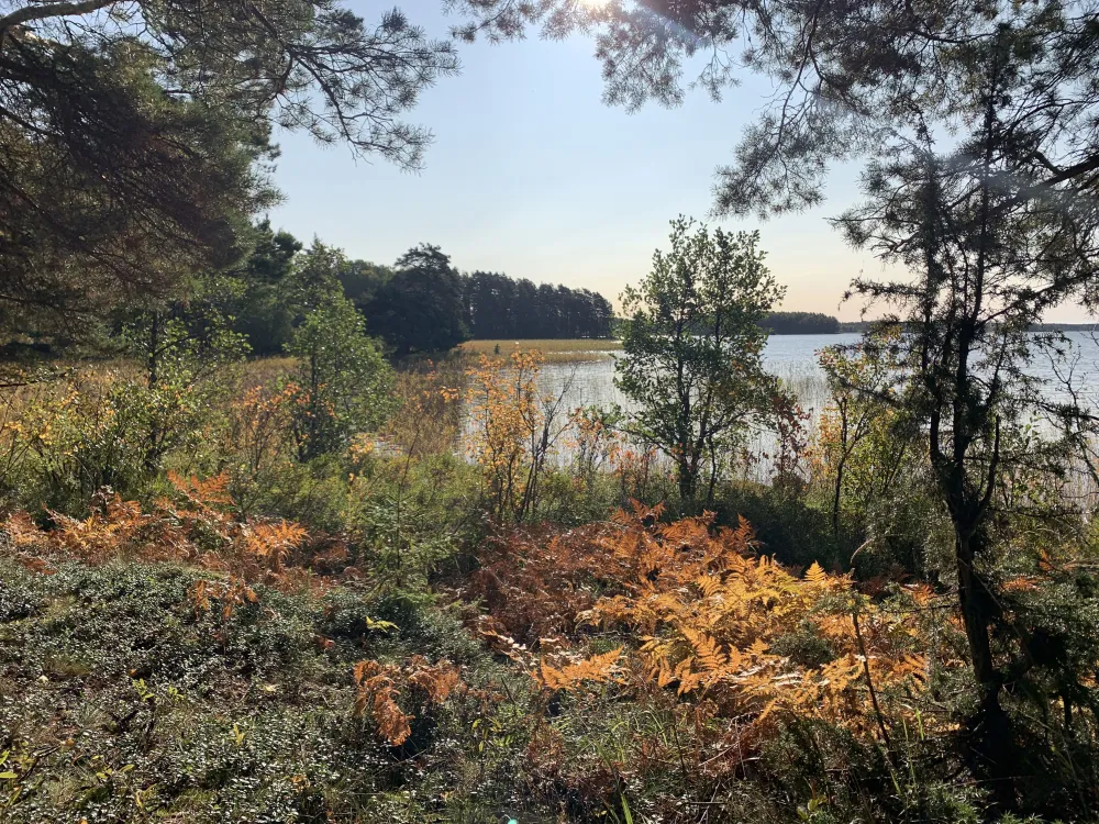 Gästrikeleden - Gästrikland Hiking trail