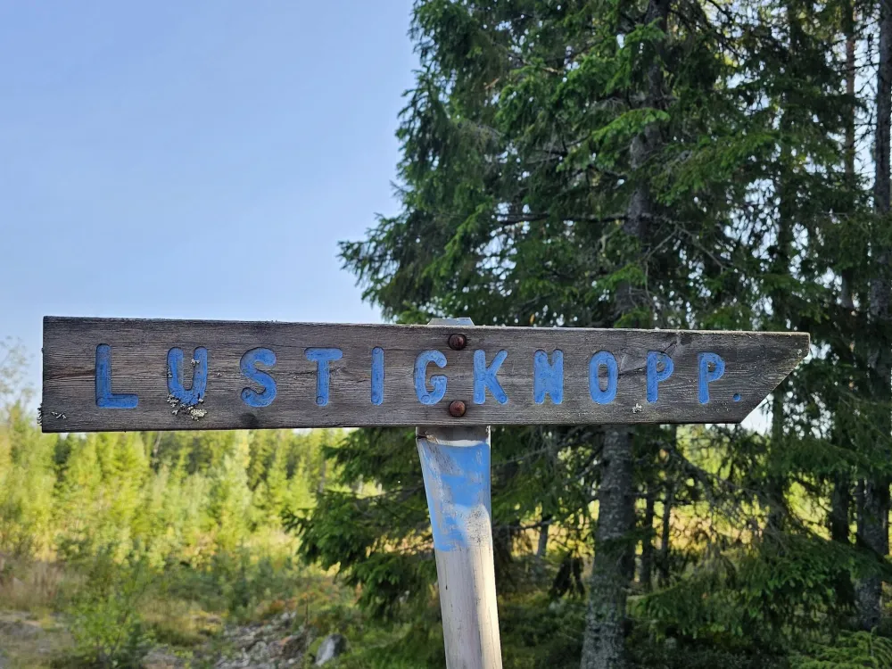 Mount Lustigknopp