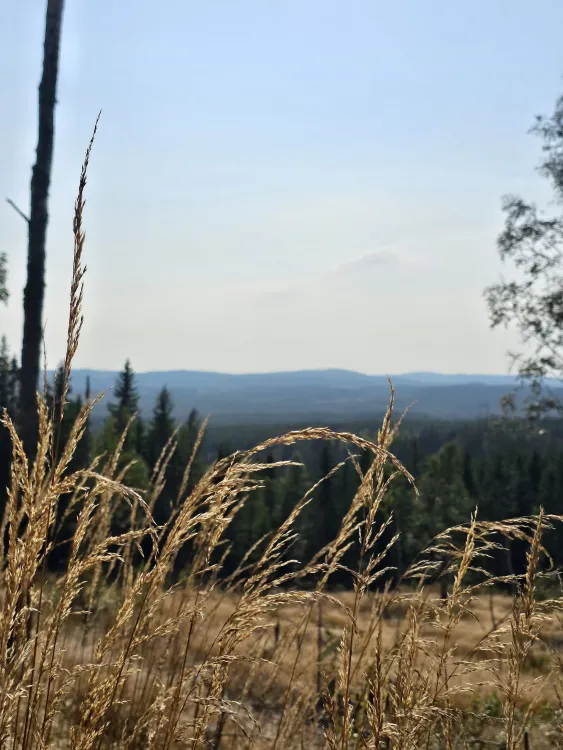 Mount Lustigknopp