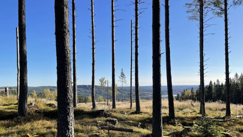Gästriketriangeln