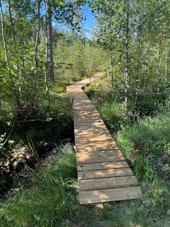 Gästriketriangeln