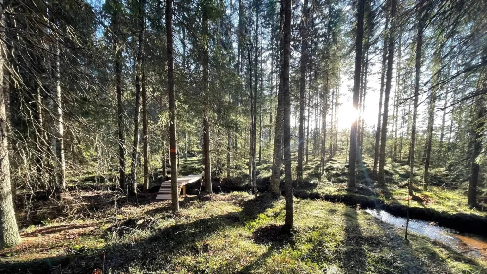 Gästriketriangeln