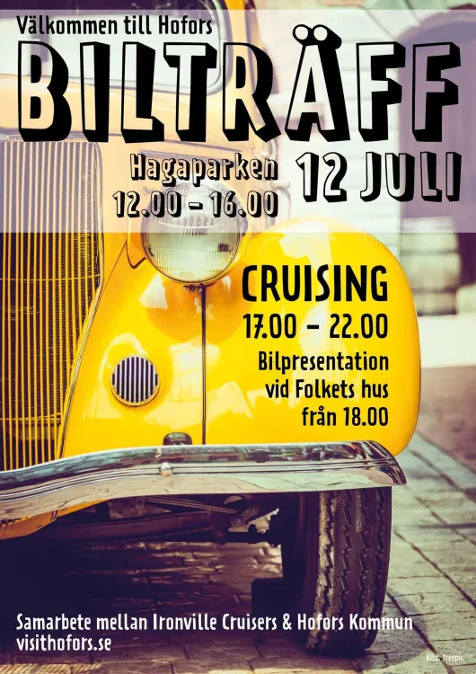 Bilträff i Hagaparken