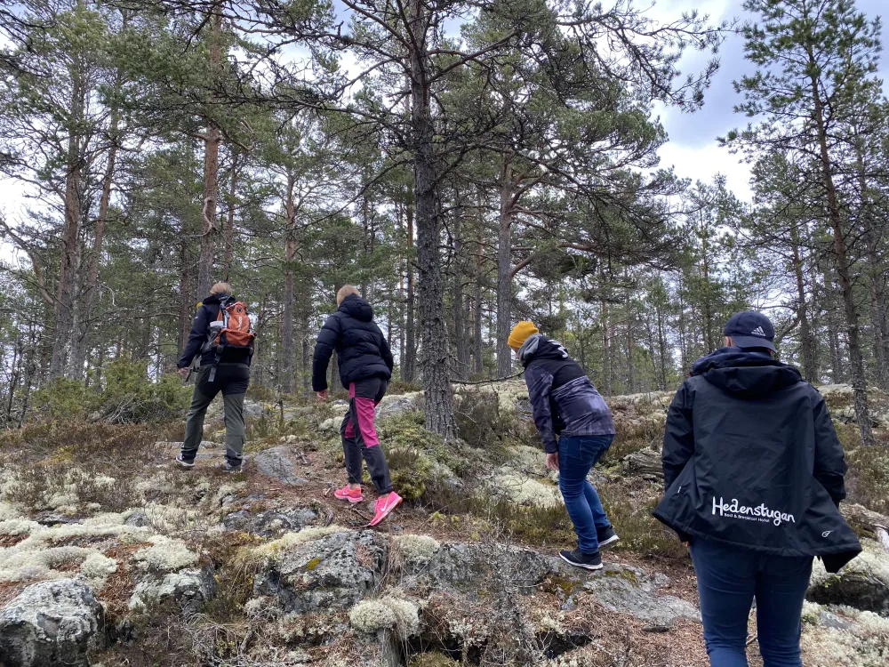 Hiking  Hedenstugan