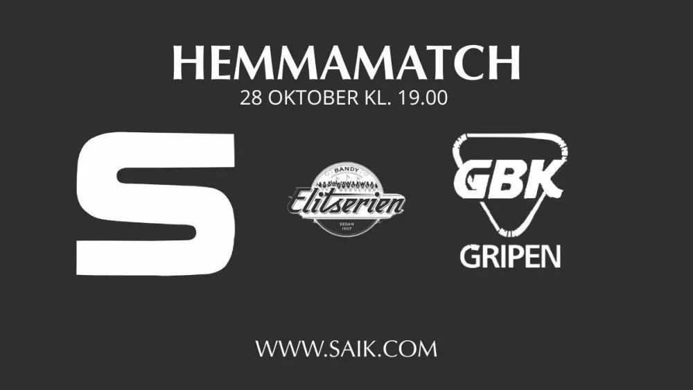 SAIK-Gripen bandy herrar
