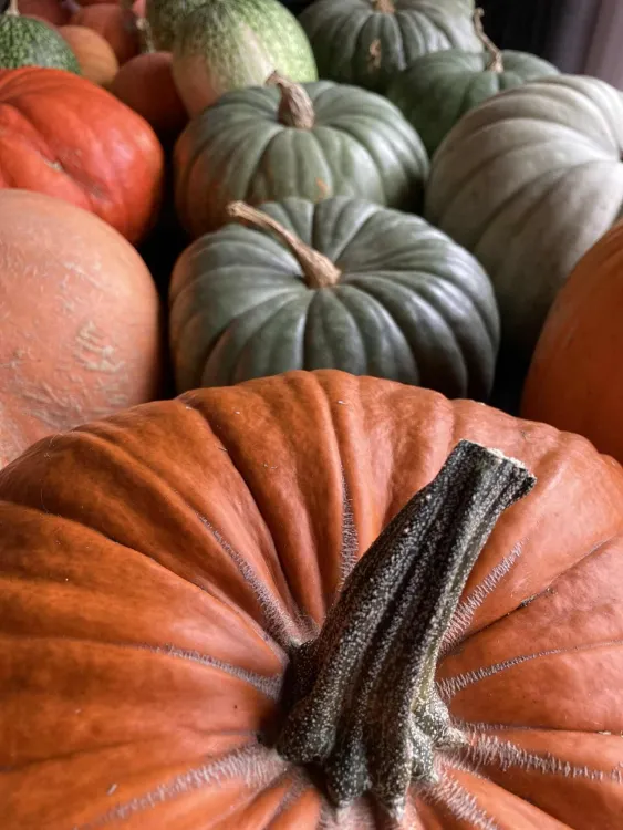 pumpor