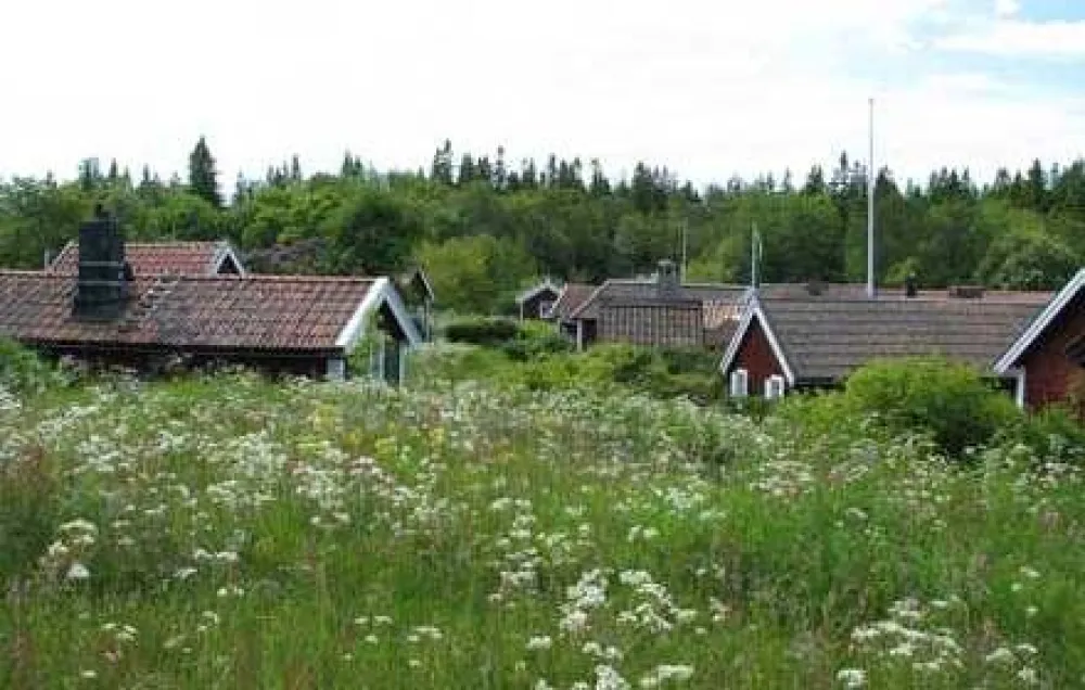 Lövgrund