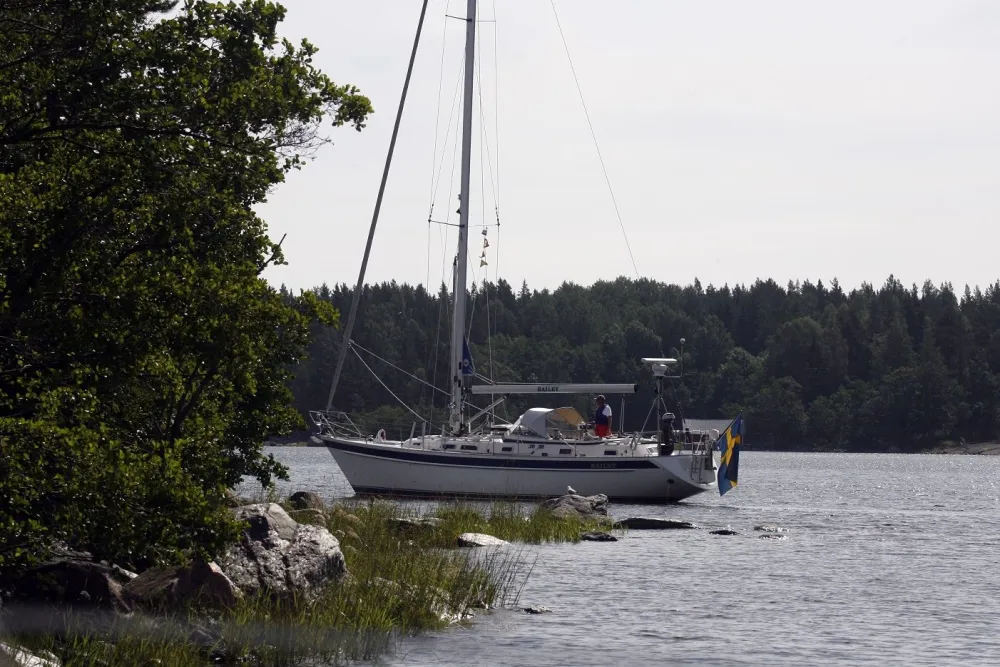 Fågelhararna