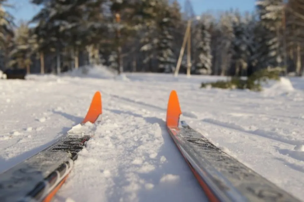 Cross-Country Skiing