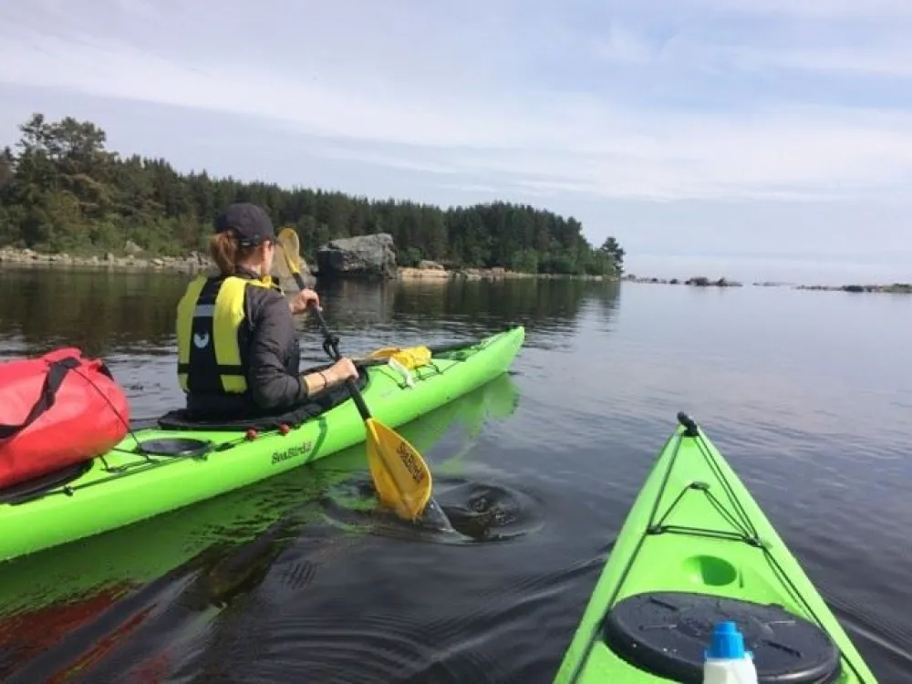 Gävle Kajakhyra 