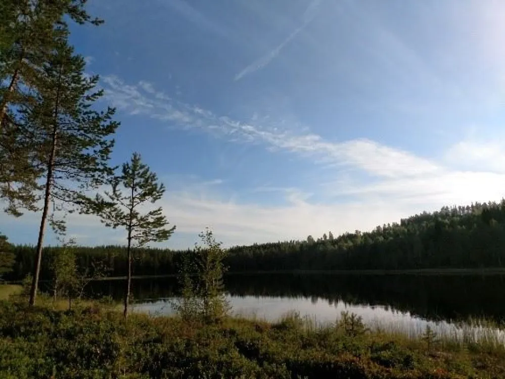 Stuga i Gammelboningen
