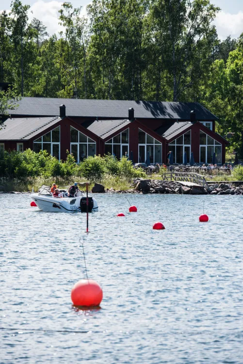 Furuvik Havskrog