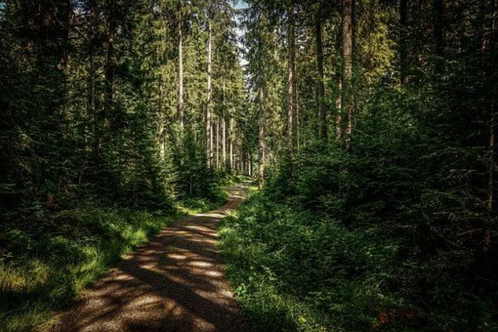 Hofors Motionsspår