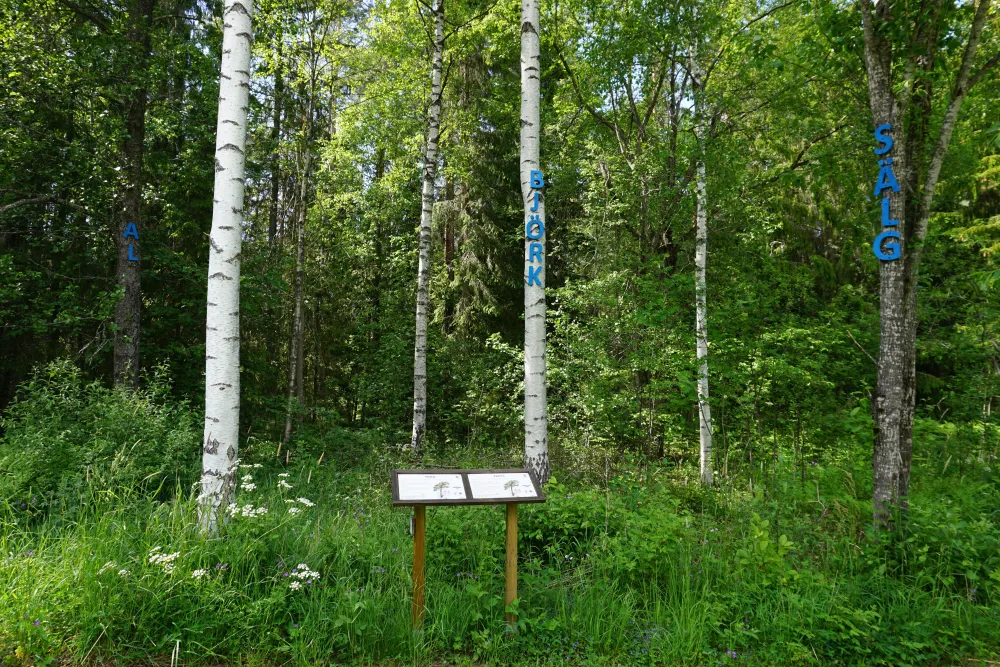 Hemlingby Outdoor Area.