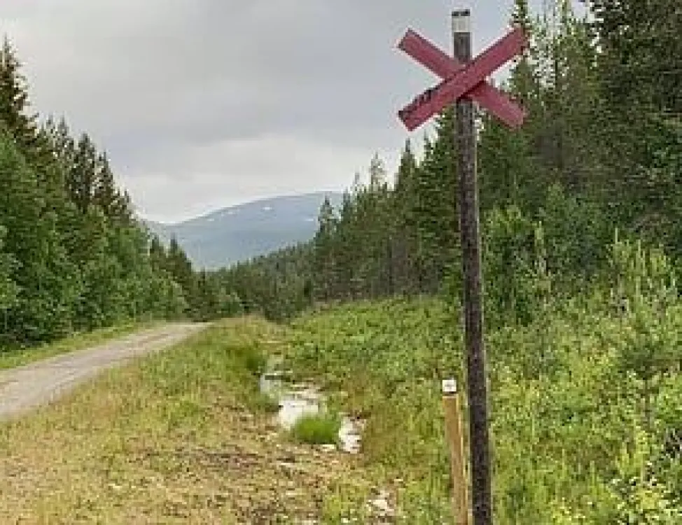 Vandra Helgonleden
