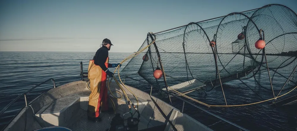 Bergmans Fisk Saltharsfjärden