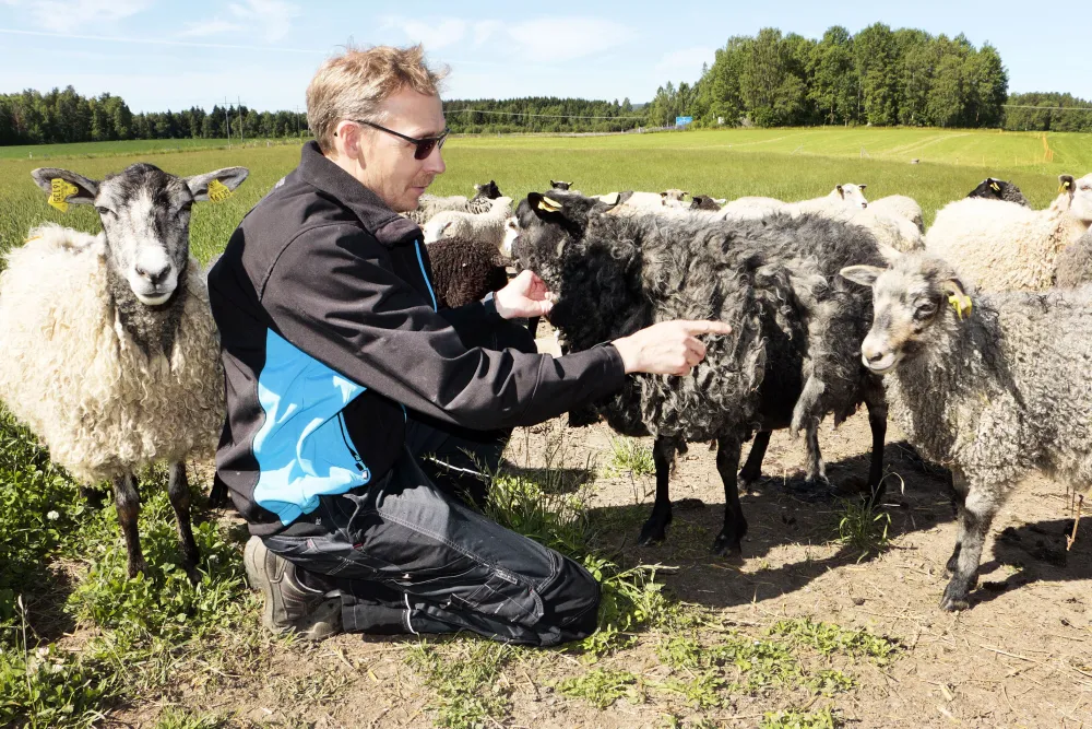 Klockarbacken Ockelbo