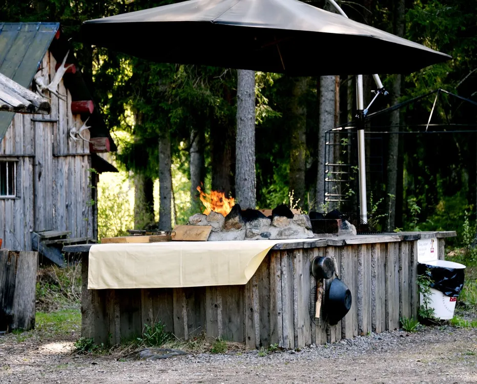 Moose park in Ockelbo