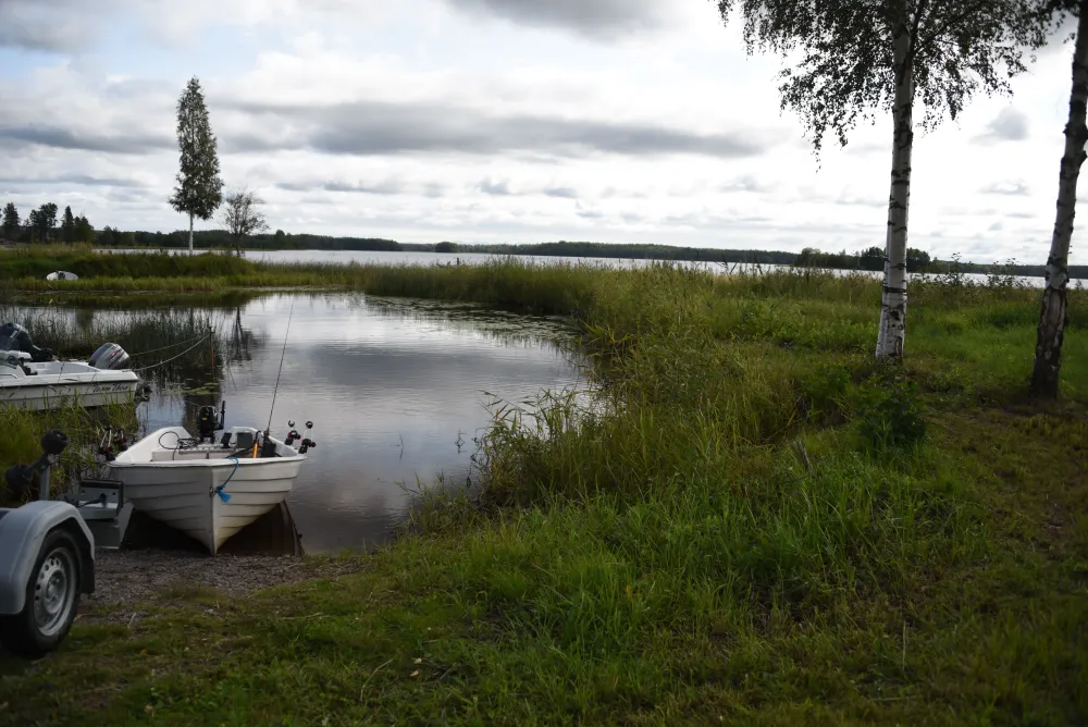 Fiske i Lingbo
