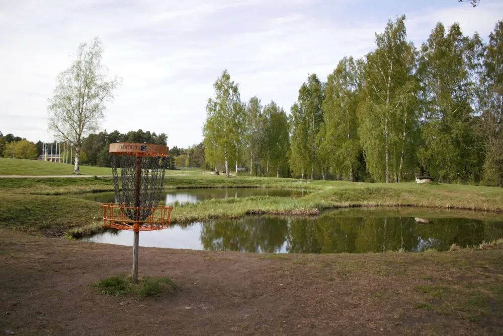 Discgolfkorg vid dammar på banan vid Stora Vall.