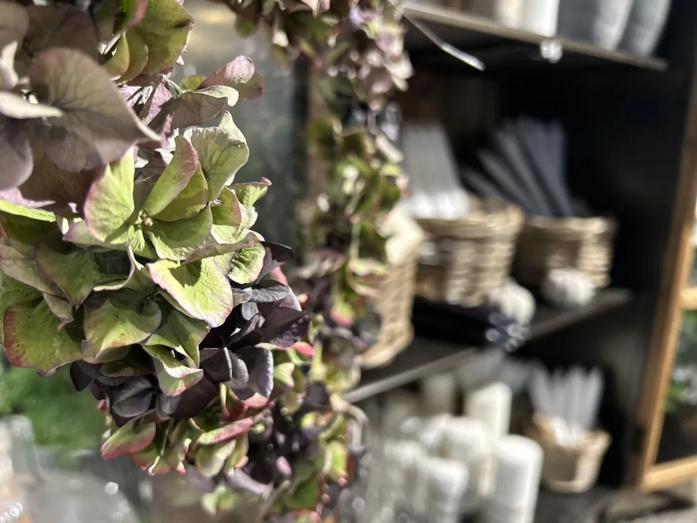 Forsbergs Blommor, Ombud för Interflora
