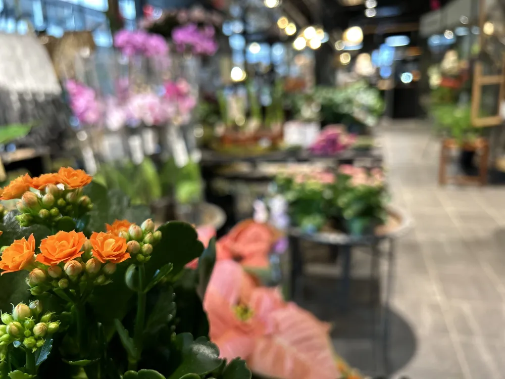Forsbergs Blommor, Ombud för Interflora