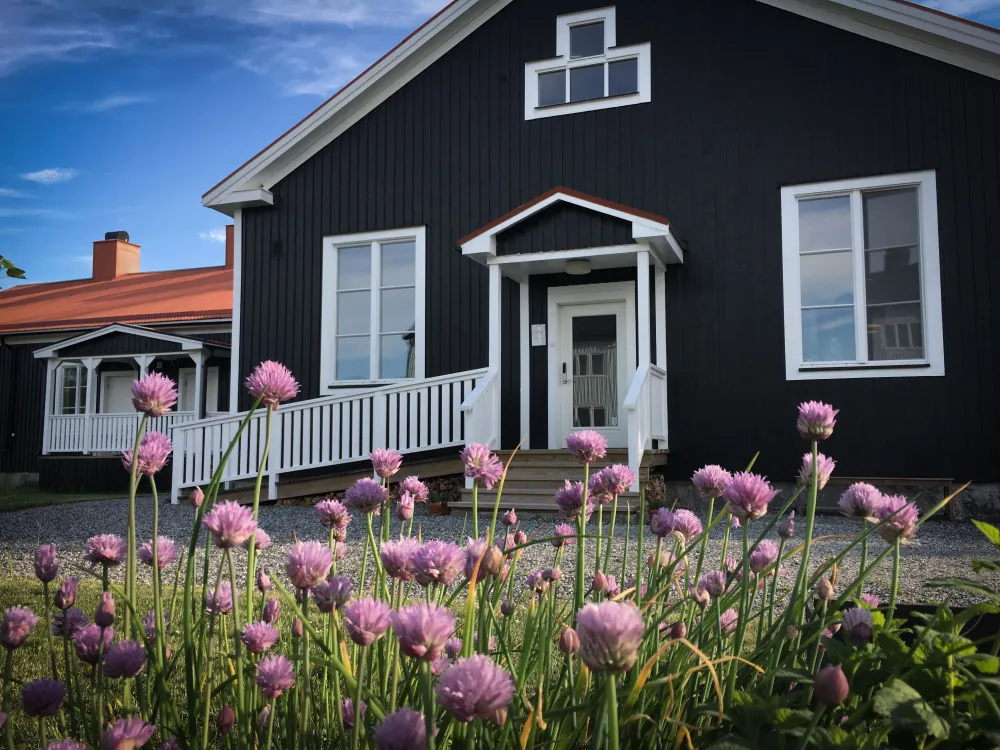 Stilleben Sweden
