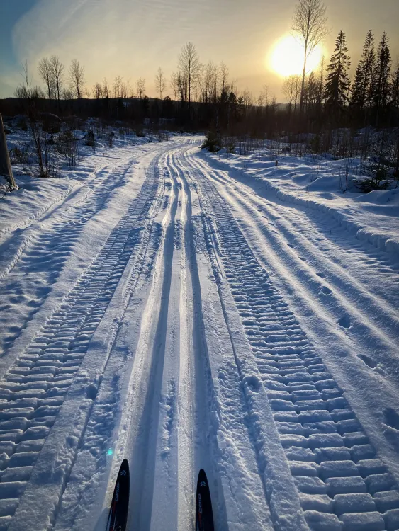 Stilleben Sweden
