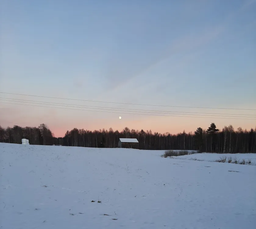 åker med snö