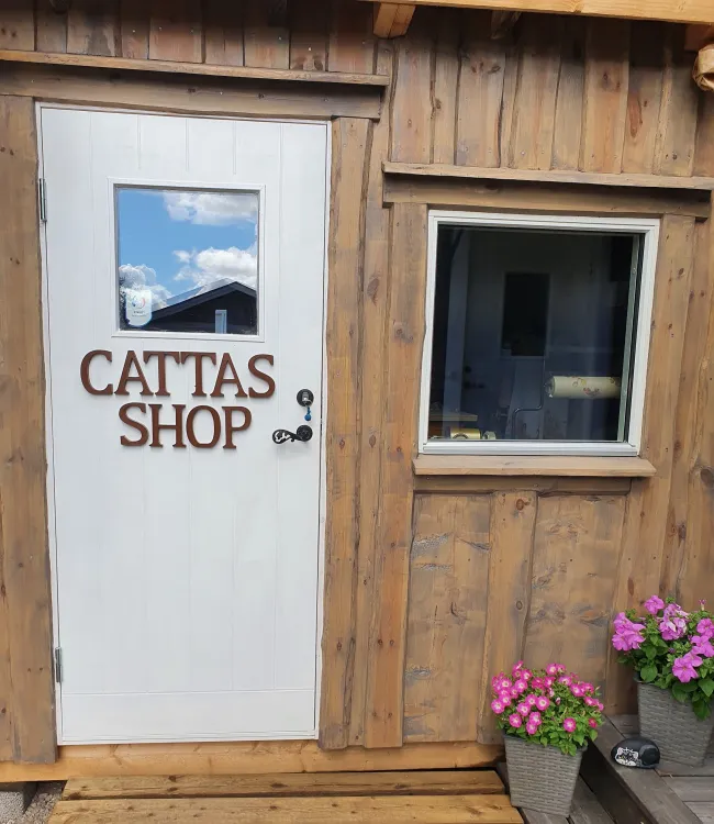 Catta´s Shop