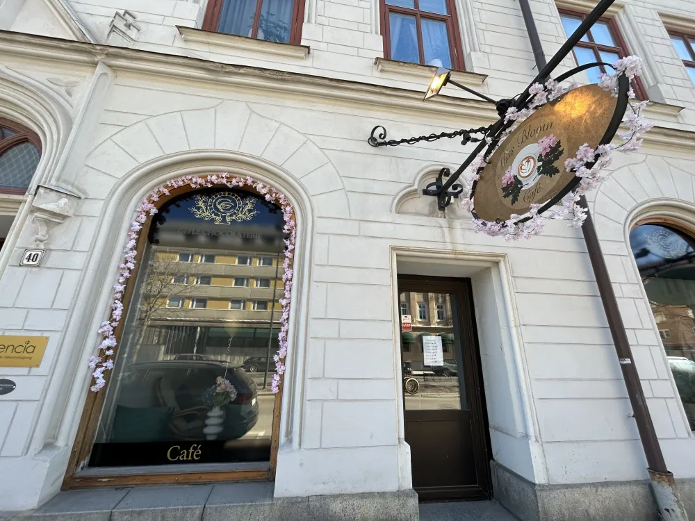 Miss Bloom Café