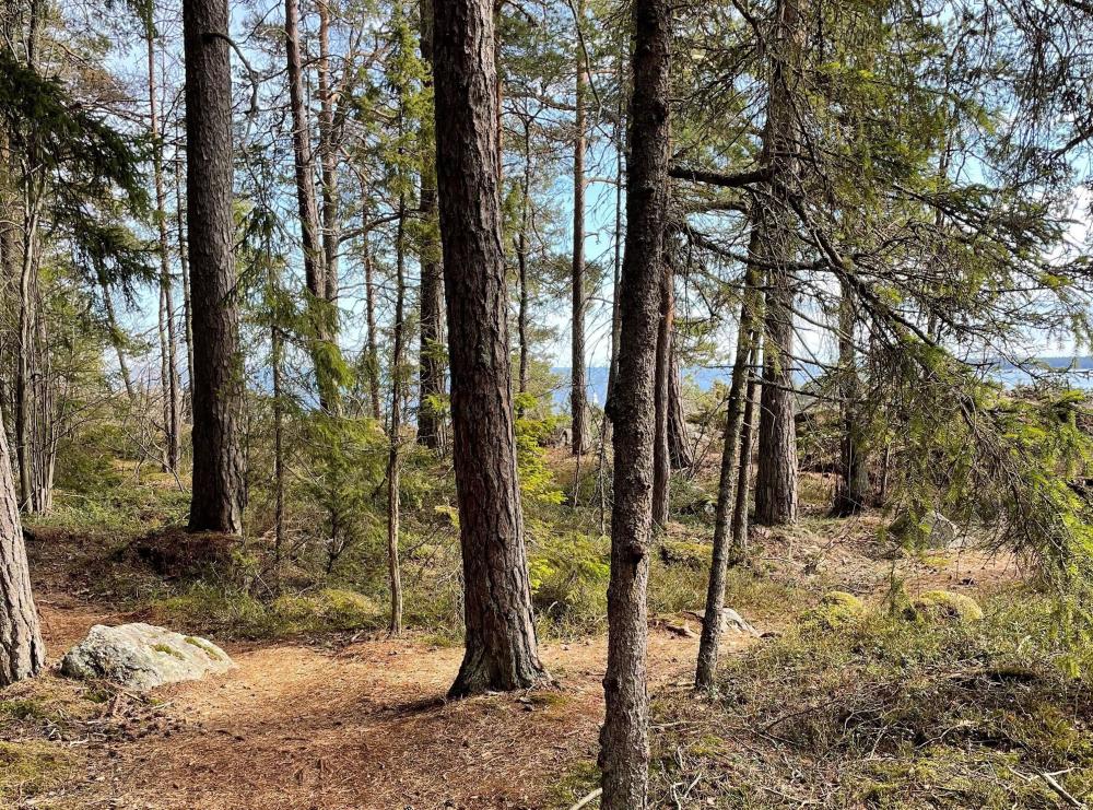 The Norrlandet seaside hiking trail