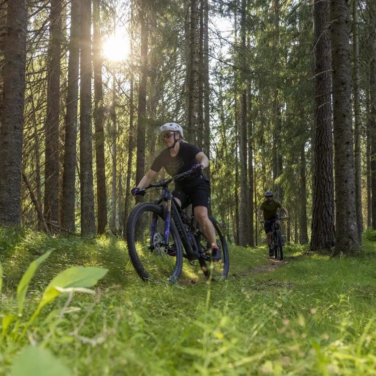 En  cyklist på en stig i skogen