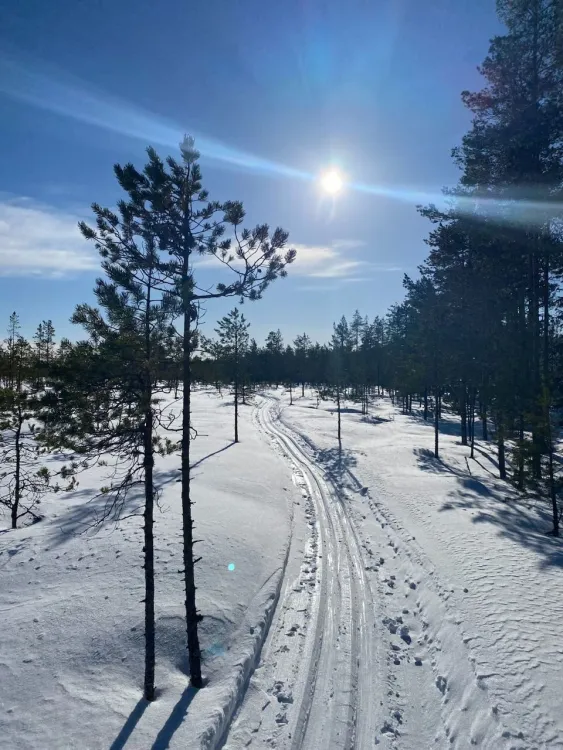 Skidspår Sanbackarna Jädraås