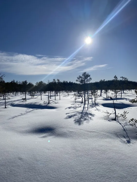 Skidspår Sanbackarna Jädraås