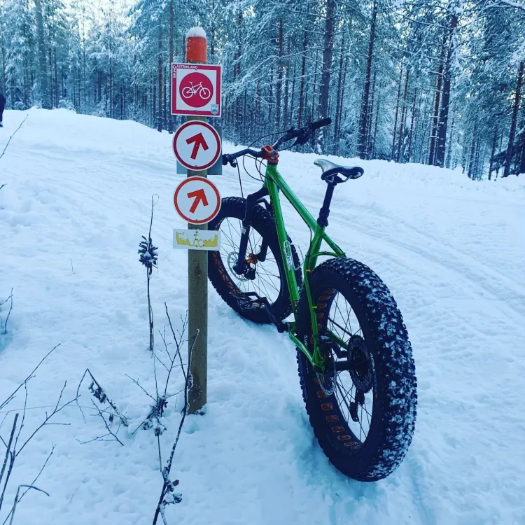 fatbike 
