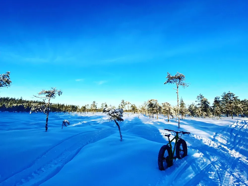 fatbike