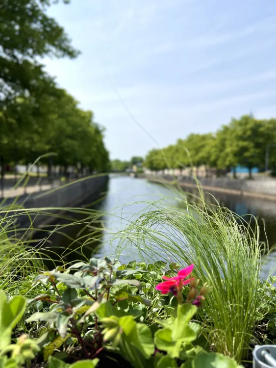Gävle City Centre
